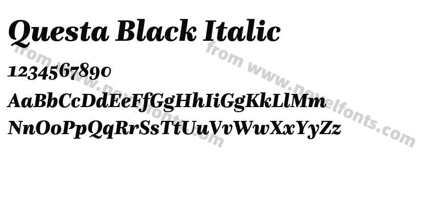 Questa Black ItalicPreview