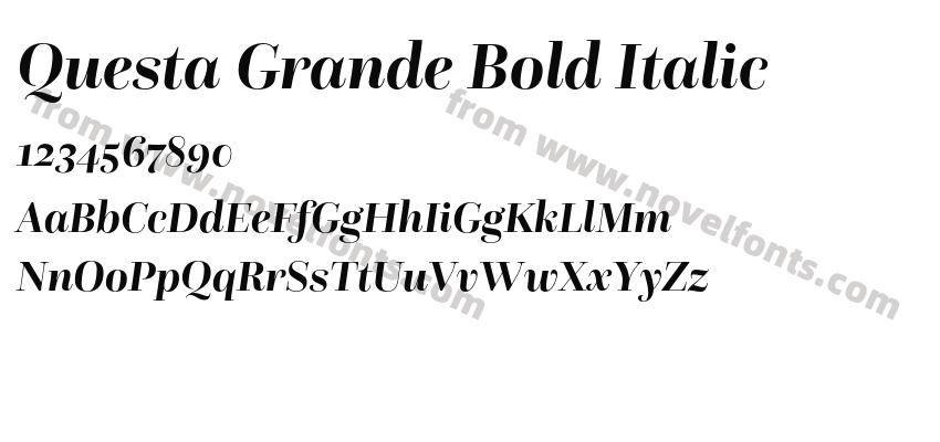 Questa Grande Bold ItalicPreview