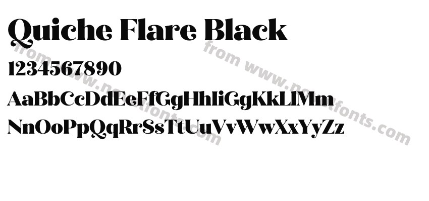 Quiche Flare BlackPreview