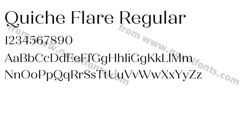 Quiche Flare RegularPreview