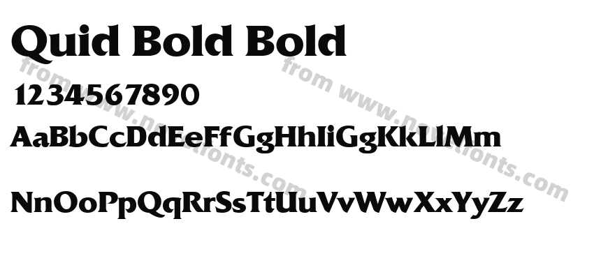 Quid Bold BoldPreview