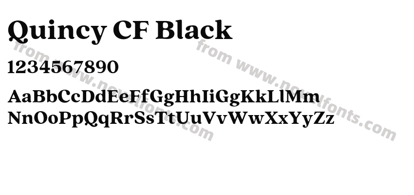 Quincy CF BlackPreview