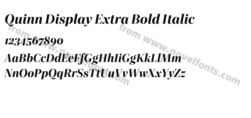 Quinn Display Extra Bold ItalicPreview