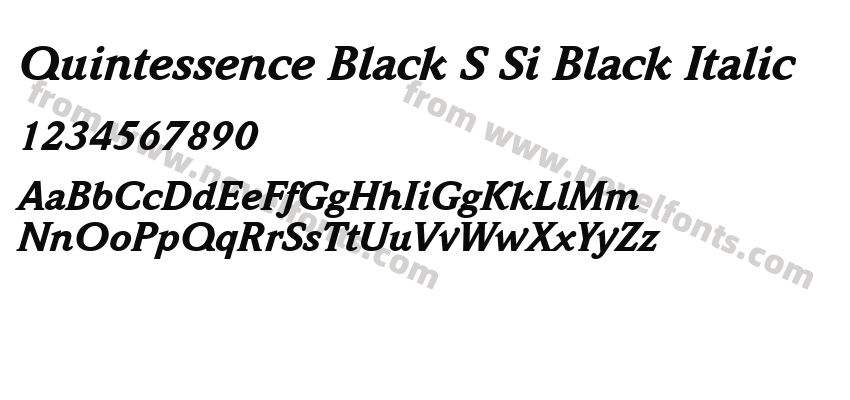 Quintessence Black SSi Black ItalicPreview