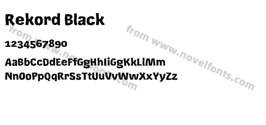 Rekord BlackPreview