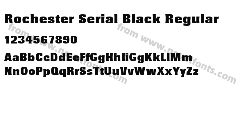 Rochester Serial Black RegularPreview