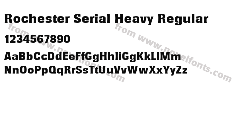 Rochester Serial Heavy RegularPreview