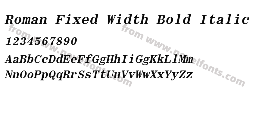 Roman Fixed Width Bold ItalicPreview