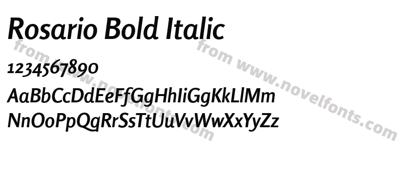 Rosario Bold ItalicPreview