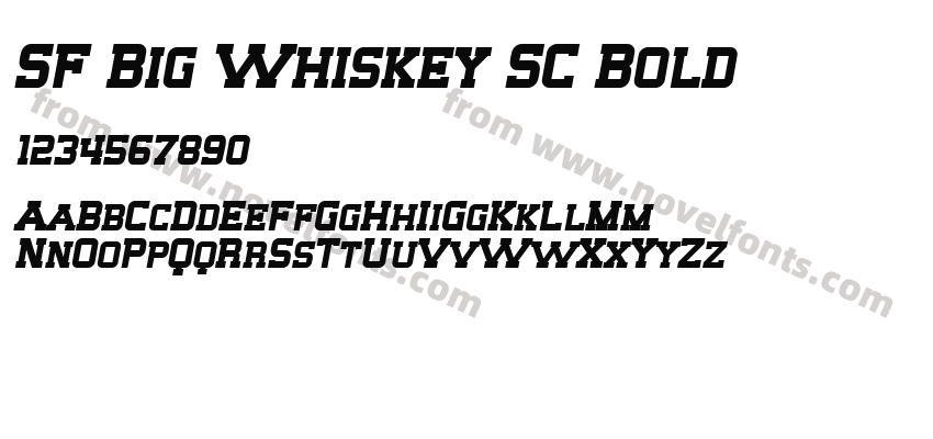 SF Big Whiskey SC BoldPreview