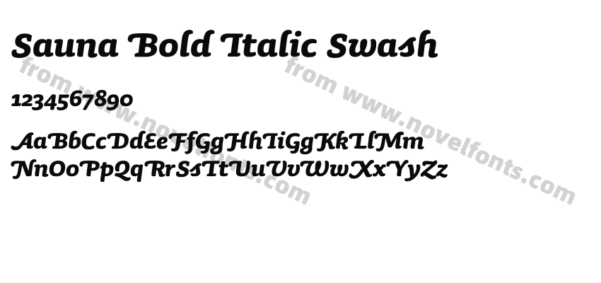 Sauna Bold Italic SwashPreview