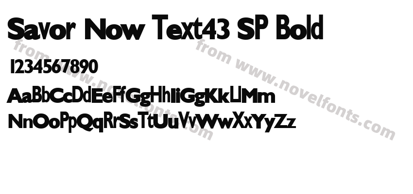 Savor Now Text43 SP BoldPreview