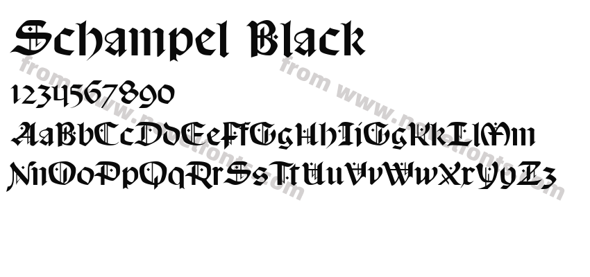 Schampel BlackPreview