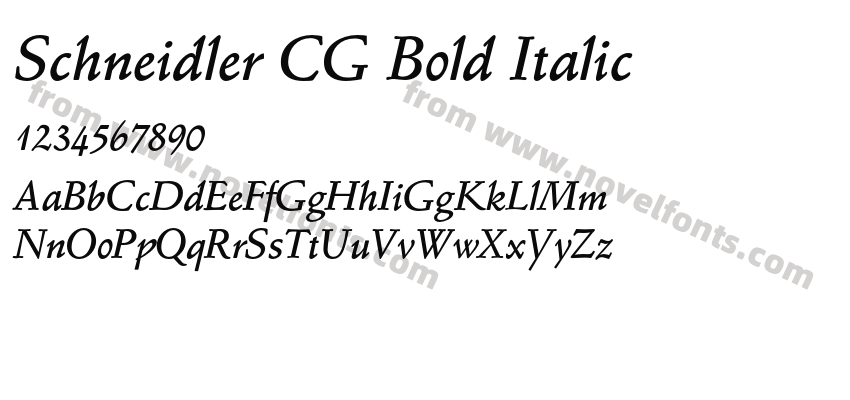 Schneidler CG Bold ItalicPreview