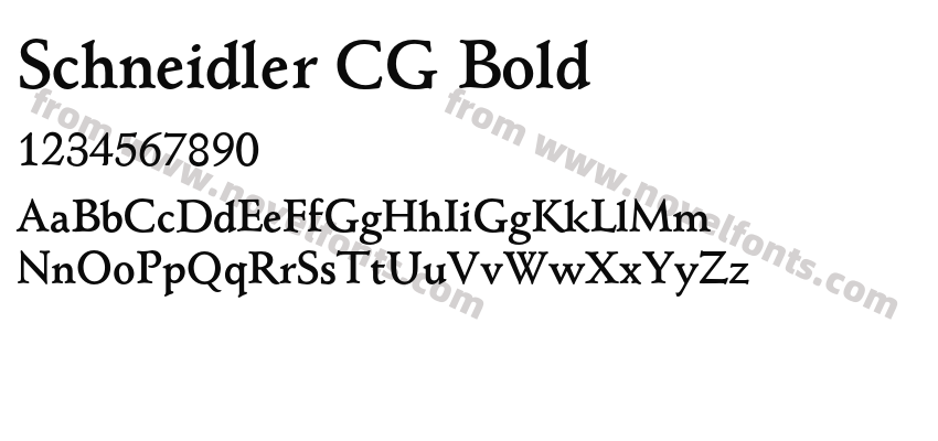 Schneidler CG BoldPreview