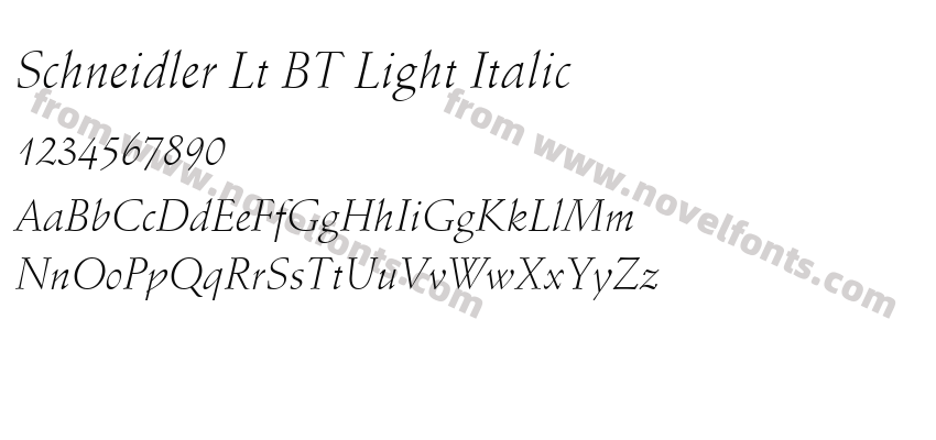 Schneidler Lt BT Light ItalicPreview