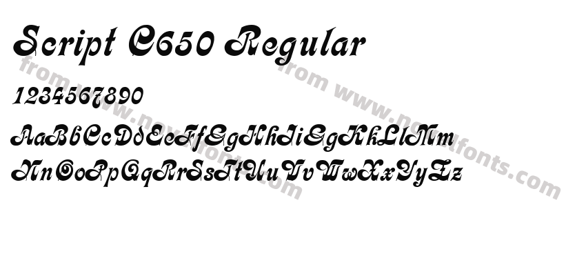 Script C650 RegularPreview