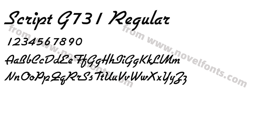 Script G731 RegularPreview