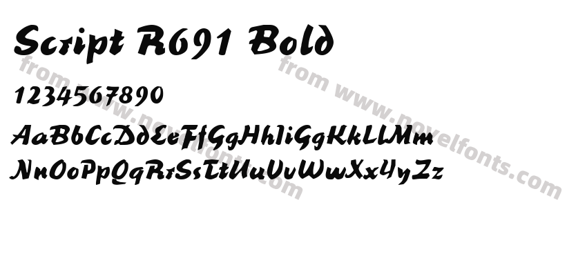 Script R691 BoldPreview