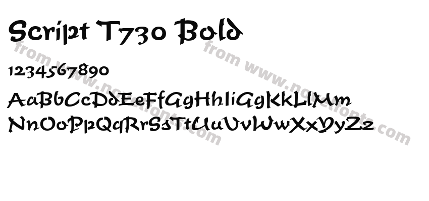 Script T730 BoldPreview