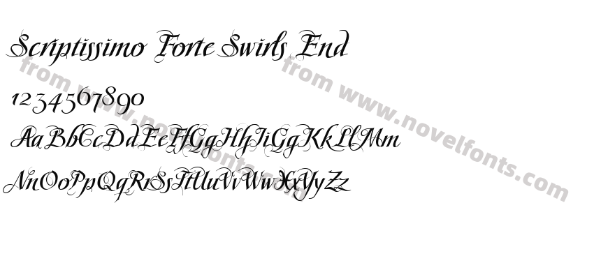 Scriptissimo Forte Swirls EndPreview