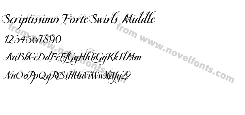 Scriptissimo Forte Swirls MiddlePreview