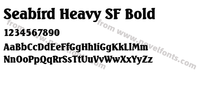 Seabird Heavy SF BoldPreview