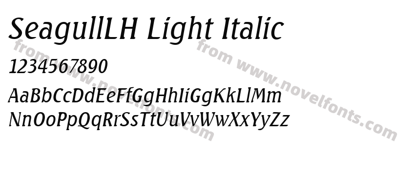 SeagullLH Light ItalicPreview