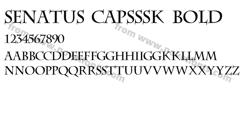 Senatus CapsSSK BoldPreview