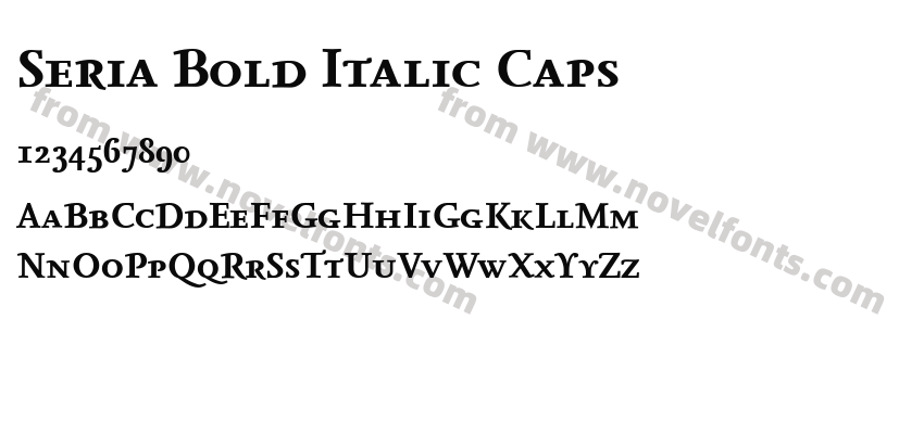 Seria Bold Italic CapsPreview