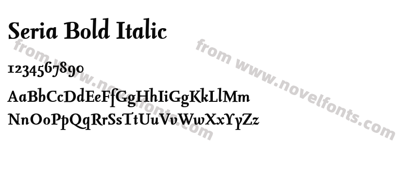 Seria Bold ItalicPreview