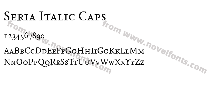 Seria Italic CapsPreview