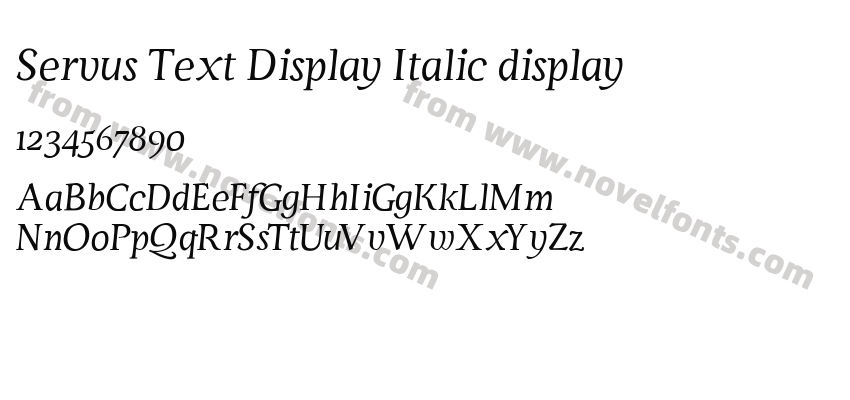 Servus Text Display Italic displayPreview