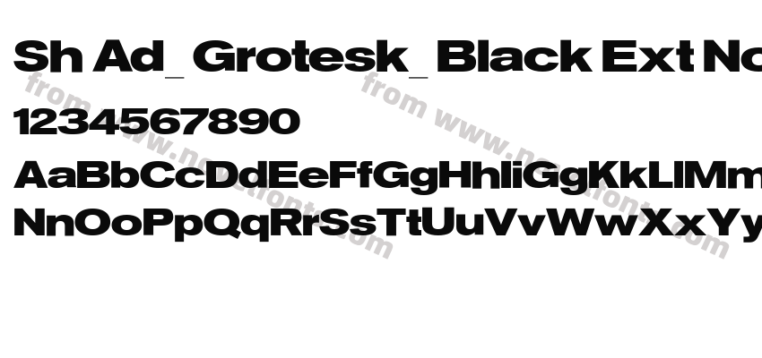 Sh Ad_ Grotesk_ Black Ext NorPreview