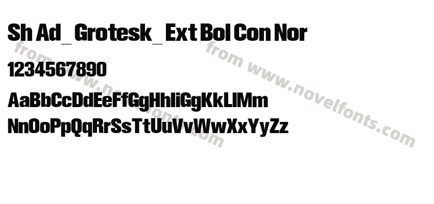 Sh Ad_ Grotesk_ Ext Bol Con NorPreview