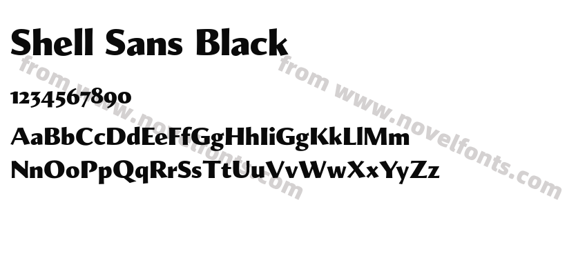 Shell Sans BlackPreview