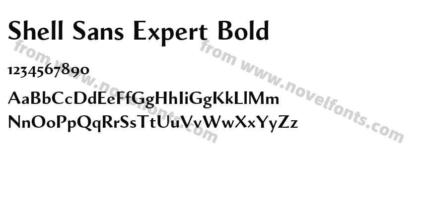 Shell Sans Expert BoldPreview