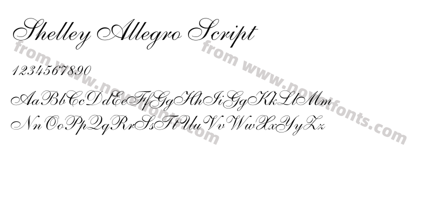 Shelley Allegro ScriptPreview