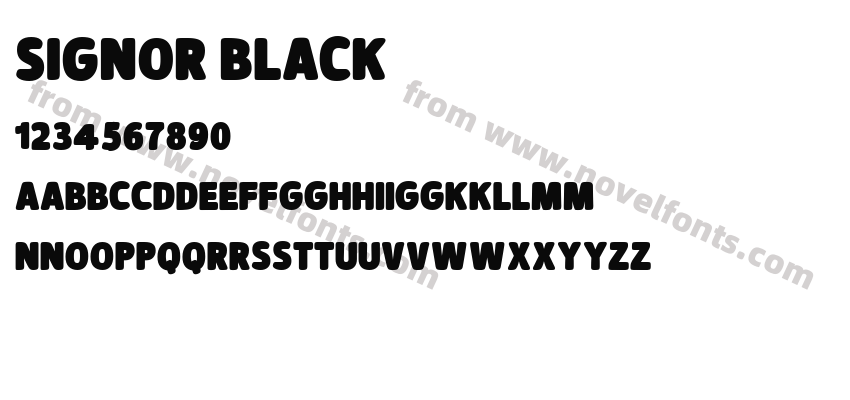 Signor BlackPreview