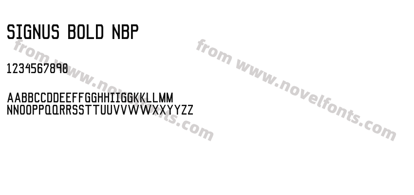 Signus Bold NBPPreview