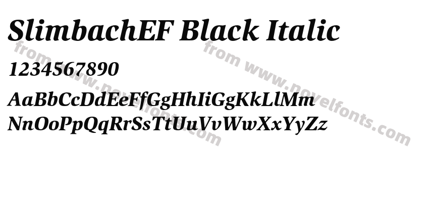 SlimbachEF Black ItalicPreview