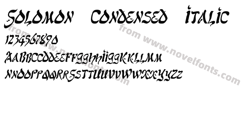 Solomon Condensed ItalicPreview