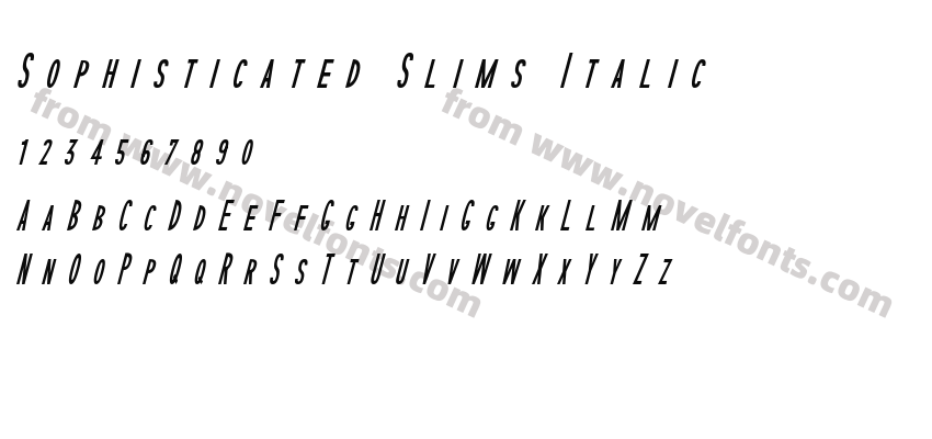 Sophisticated Slims ItalicPreview