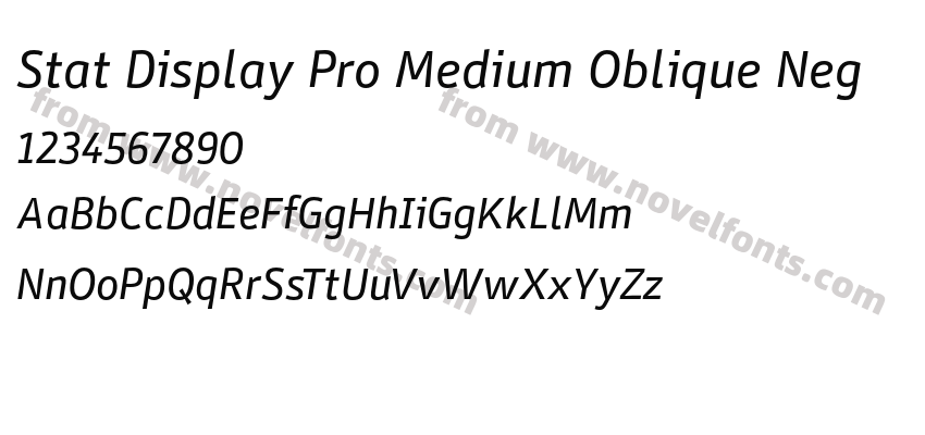 Stat Display Pro Medium Oblique NegPreview