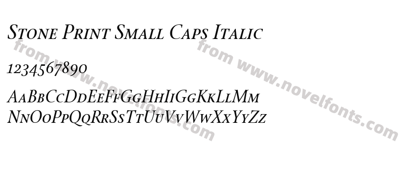 Stone Print Small Caps ItalicPreview