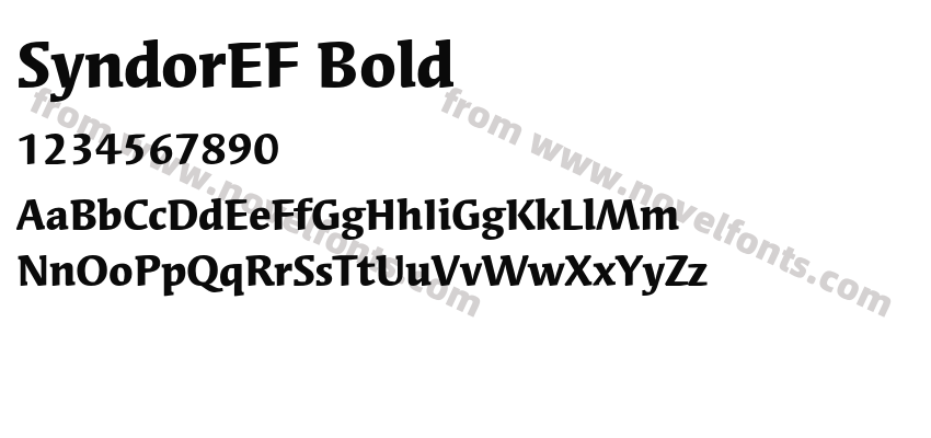 SyndorEF BoldPreview