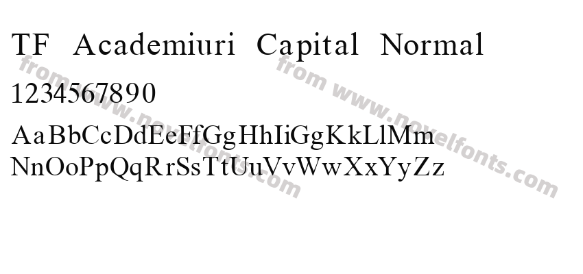 TF Academiuri Capital NormalPreview