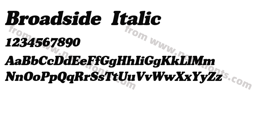 Broadside  ItalicPreview