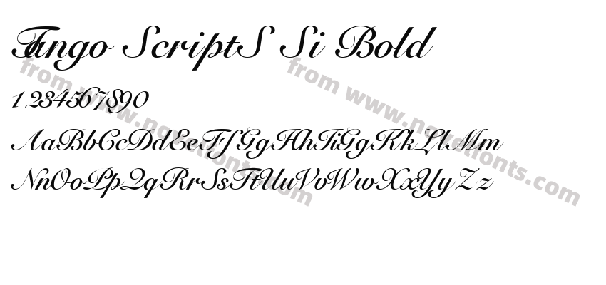 Tango ScriptS Si BoldPreview