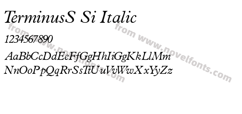 TerminusS Si ItalicPreview